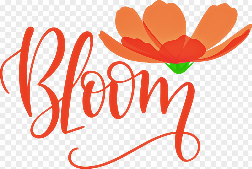 Bloom Spring PNG