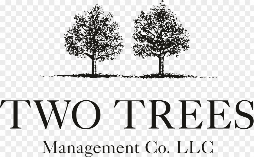 Business Two Trees Management Logo Organization Domino Park PNG