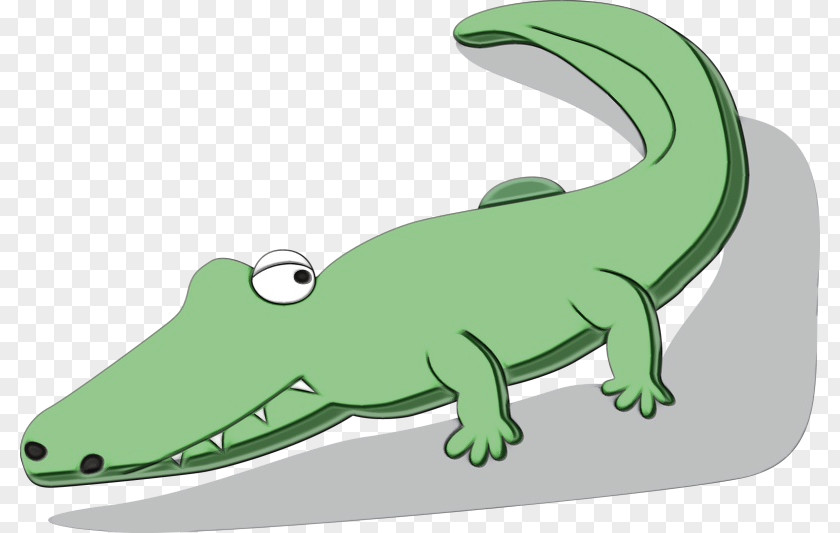Crocodiles Lizard Amphibians Fauna Cartoon PNG