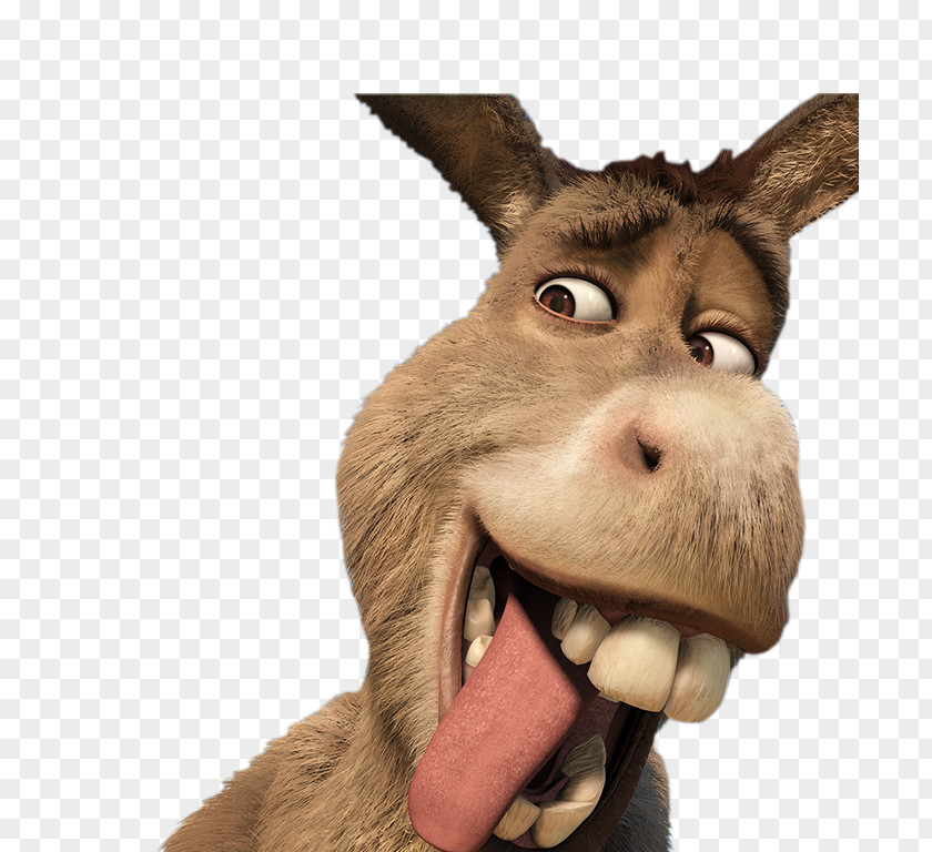 Donkey Shrek Film Series YouTube PNG