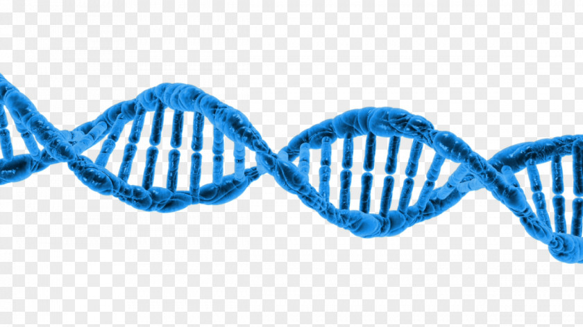 Double Helix DNA Epigenetics Genetic Testing Transcription PNG