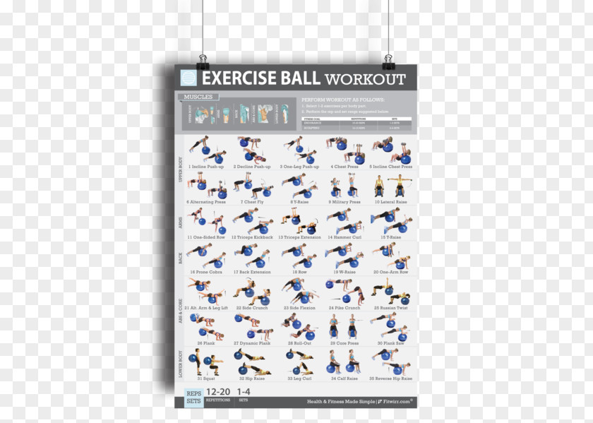 Exercise Bands Balls Bodyweight Fitness Centre PNG