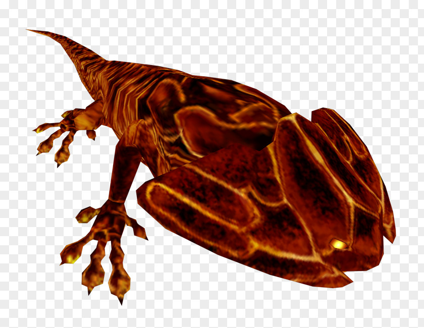 Insect Reptile Amphibians Pollinator PNG