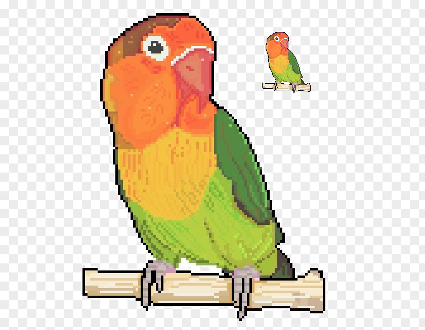 Parrot Budgerigar Lovebird Loriini Parakeet PNG
