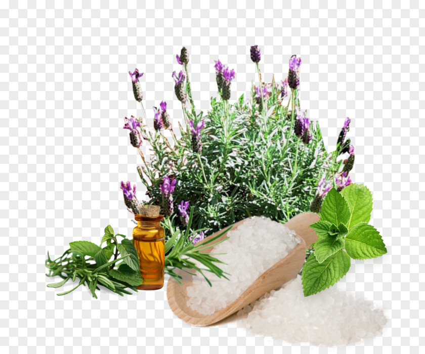 Perfume English Lavender Aromatherapy Essential Oil Son D'Aromas PNG