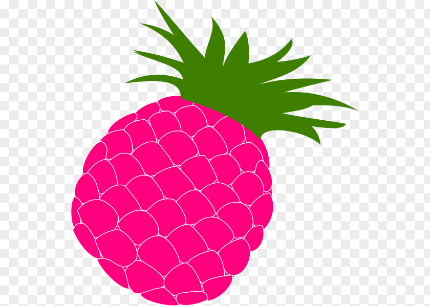 Pineapple Upside-down Cake Tropical Fruit Clip Art PNG