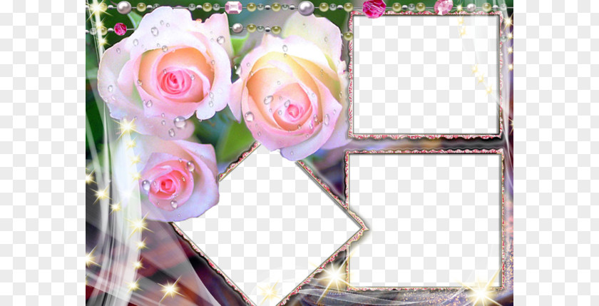 Pink Rose Flower Border High-definition Television 1080p Wallpaper PNG