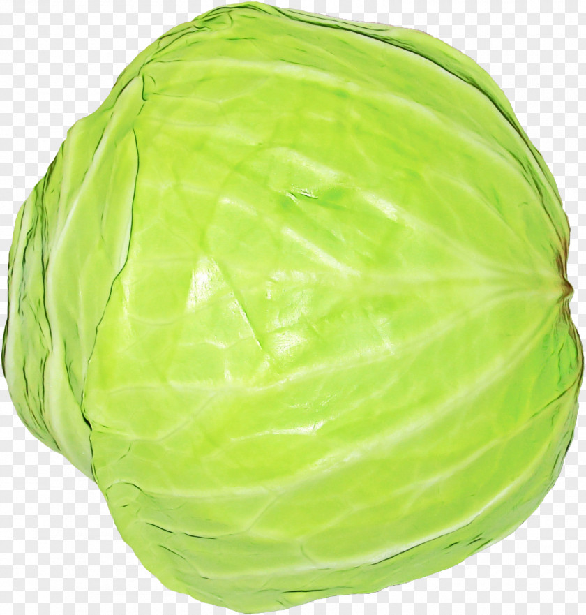 Side Dish Leaf Vegetable Cabbage Green Wild Iceburg Lettuce PNG