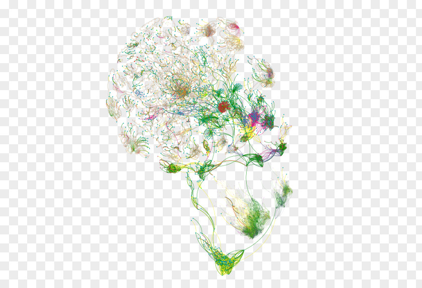 Cancer Cell Germ Map Landscape Floral Design Cut Flowers PNG