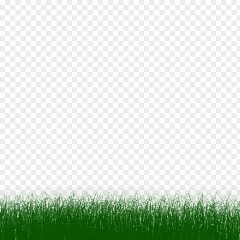 Colour Animation Lawn Clip Art PNG