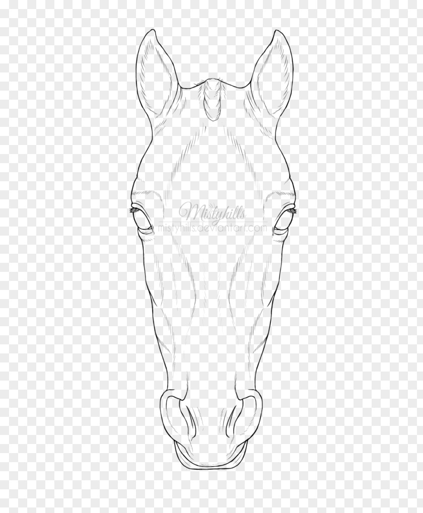 Elephant Drawing Horse Line Art Snout Sketch PNG