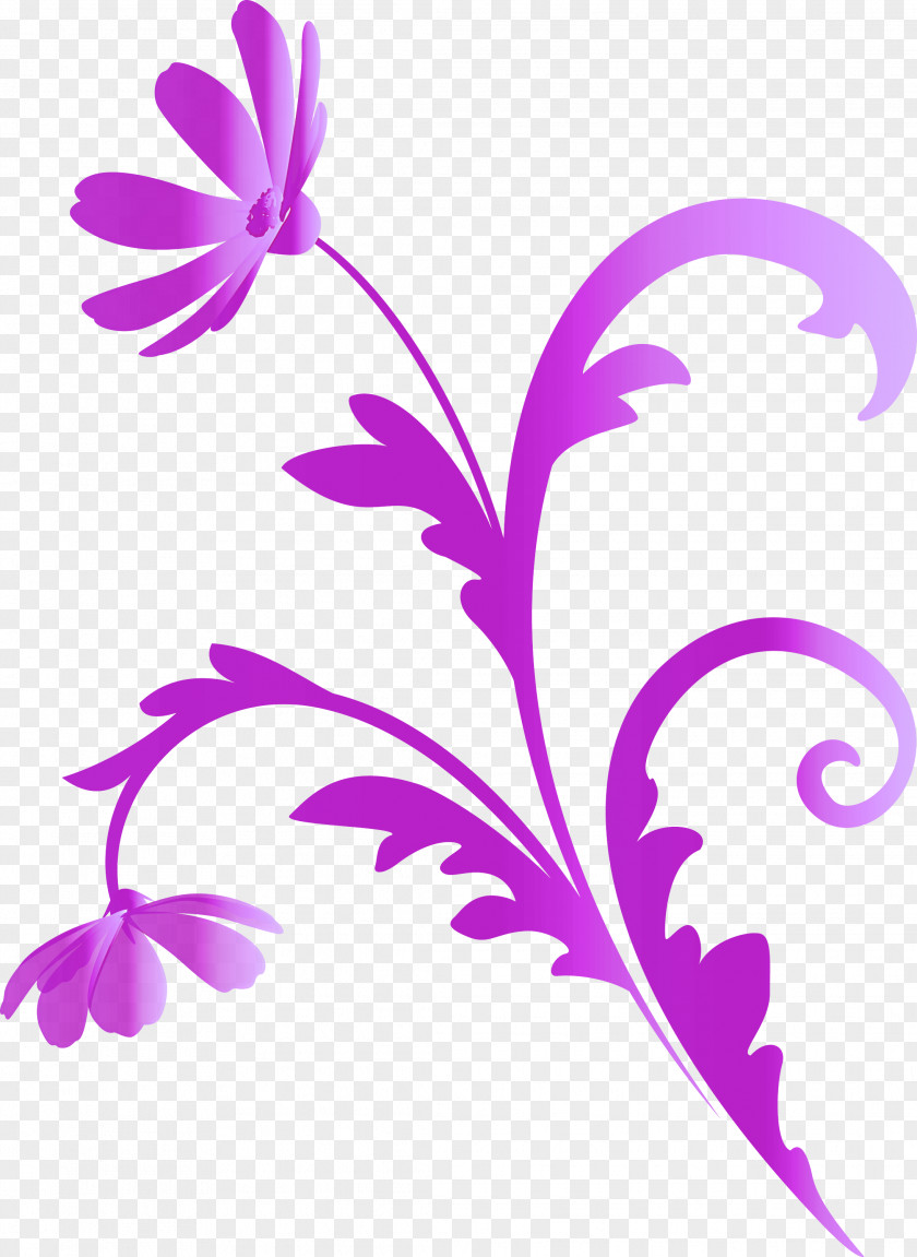 Flower Frame Floral PNG