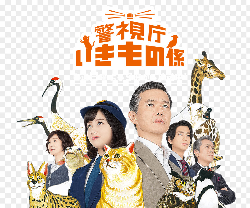 Japan Atsuro Watabe 警視庁いきもの係 Fuji TV Police Drama PNG