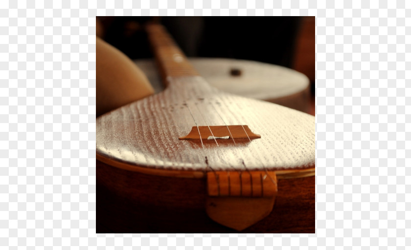 Musical Instruments Setar Guitar Picks PNG