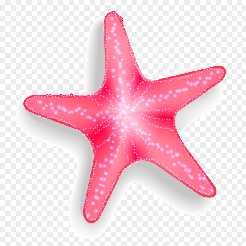 Pink Starfish Vector Euclidean Pisaster Brevispinus PNG