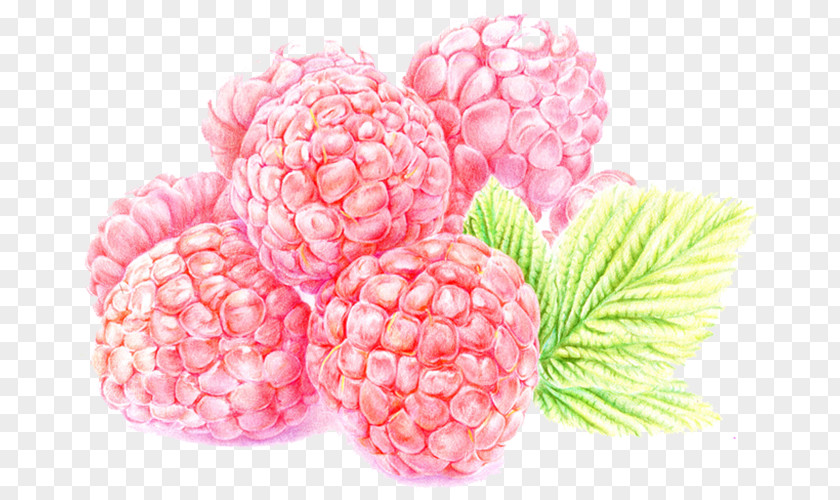 Raspberry Fruit Frutti Di Bosco Fruitcake PNG