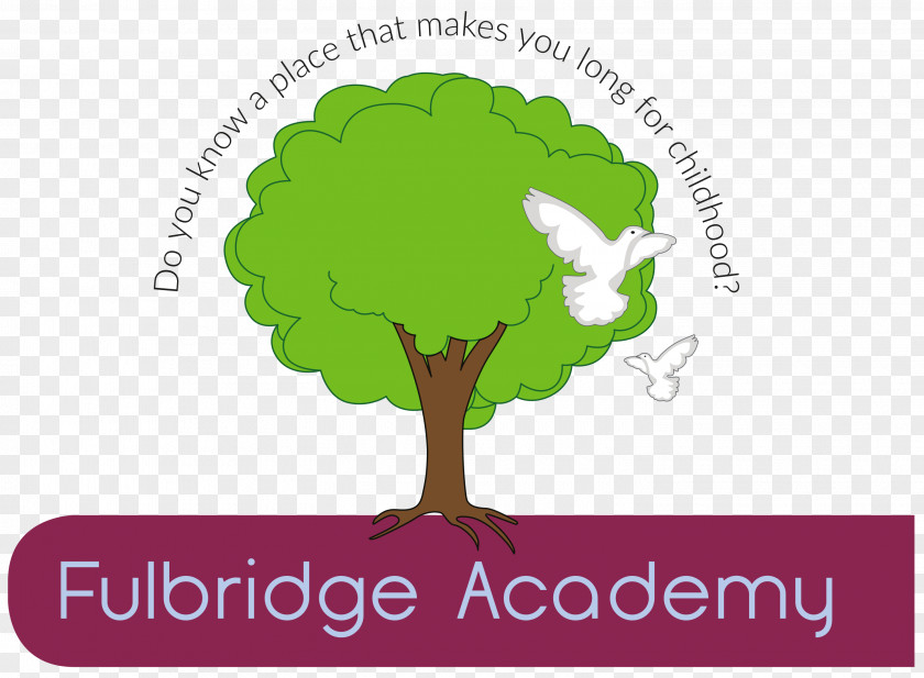 Ul Fulbridge Academy Elementary School Road Primary Education PNG