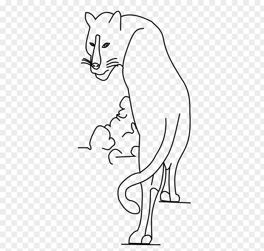 Big Cats Whiskers Drawing Cat Clip Art PNG