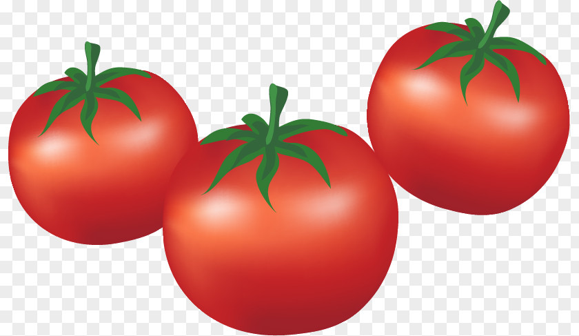 Cartoon Tomatoes Plum Tomato Bush Vegetable PNG