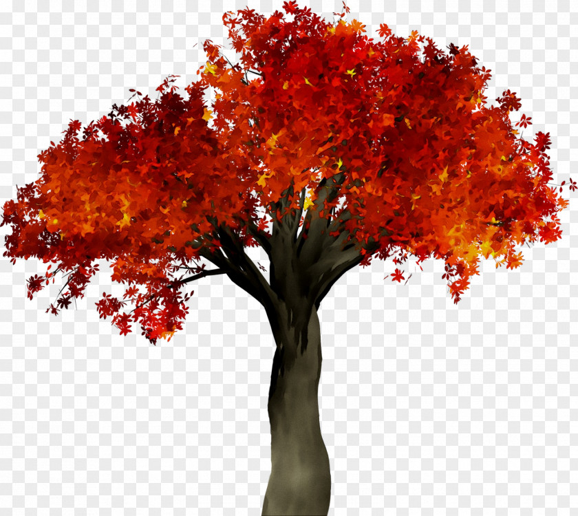 Clip Art Image Stock.xchng Autumn PNG