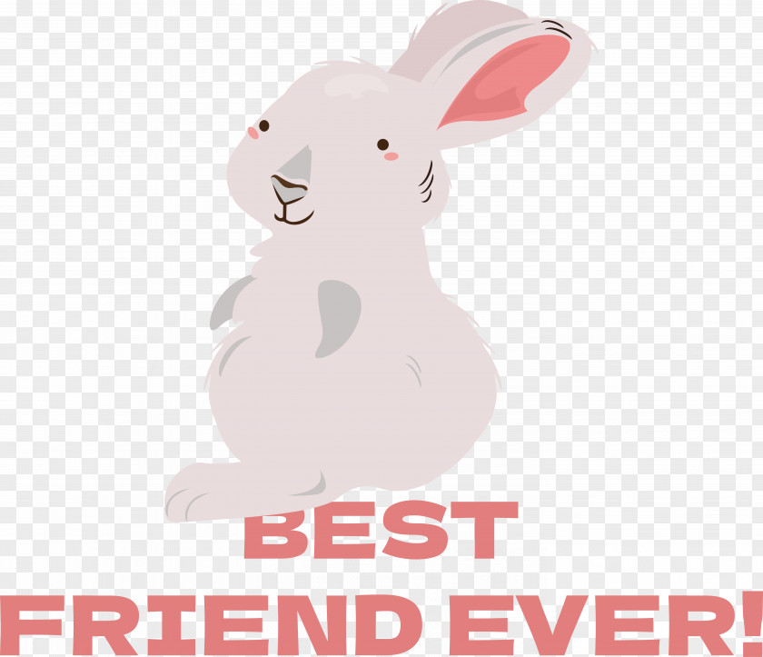 Easter Bunny PNG