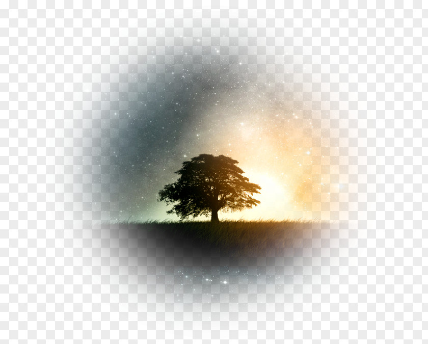 Fantasy Tree Illustration PNG
