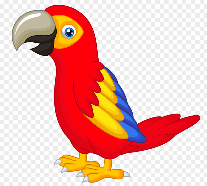 Hand-painted Parrot Talking Bird Clip Art PNG