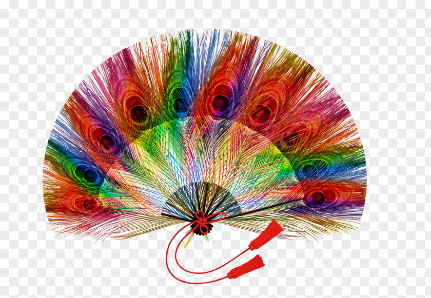 Peacock Feather Fan Peafowl Hand PNG