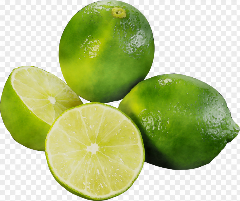 Sweet Lemon Key Lime Persian PNG