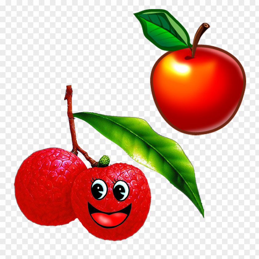 Apple Lychee Fruit Auglis Icon PNG