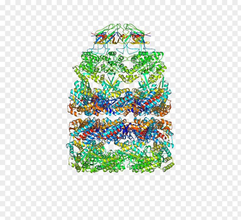 Christmas Tree GroES GroEL Ornament PNG