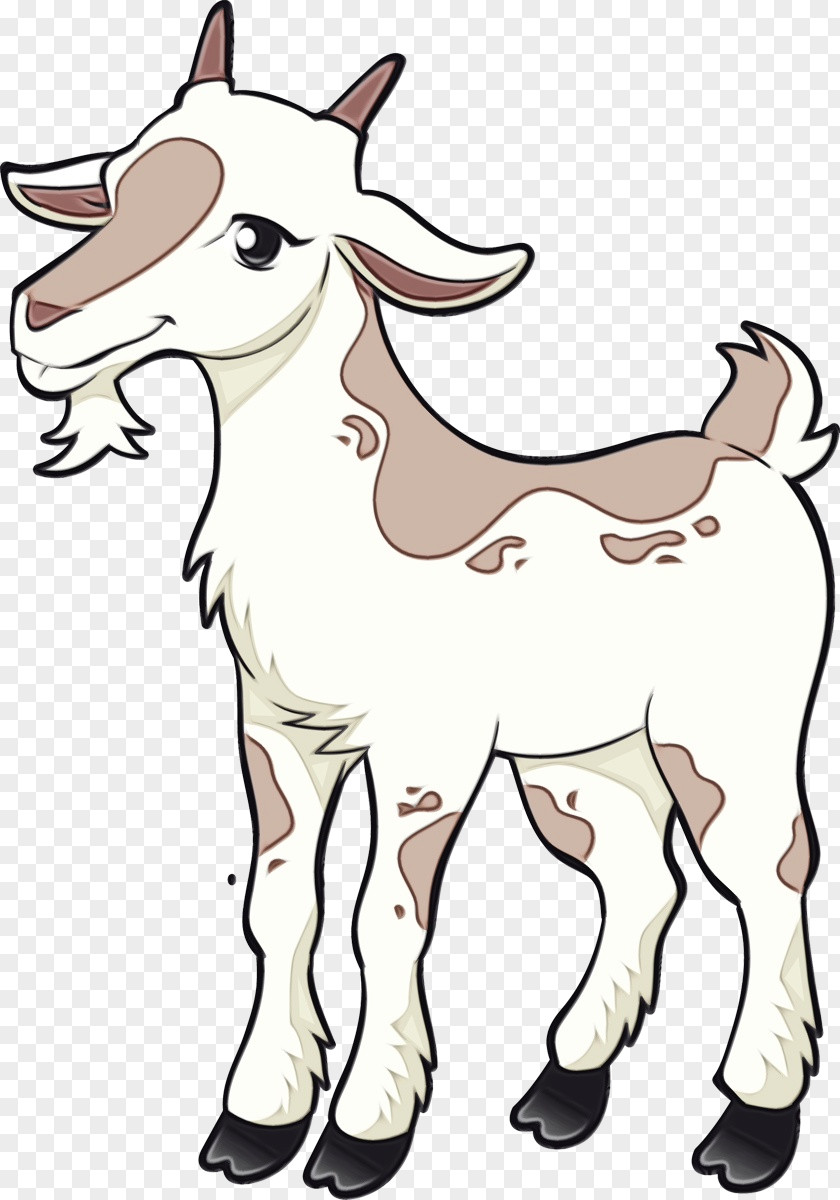 Clip Art Boer Goat Sheep Vector Graphics PNG