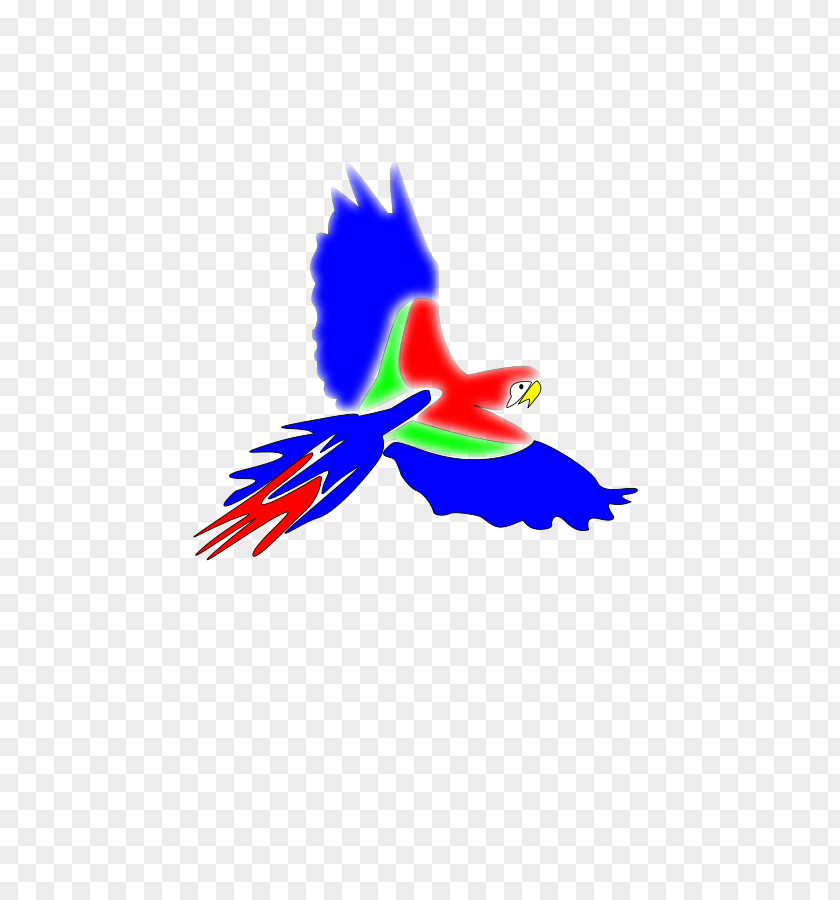 Cliparts Swift Bird Parrot True Macaws Clip Art PNG