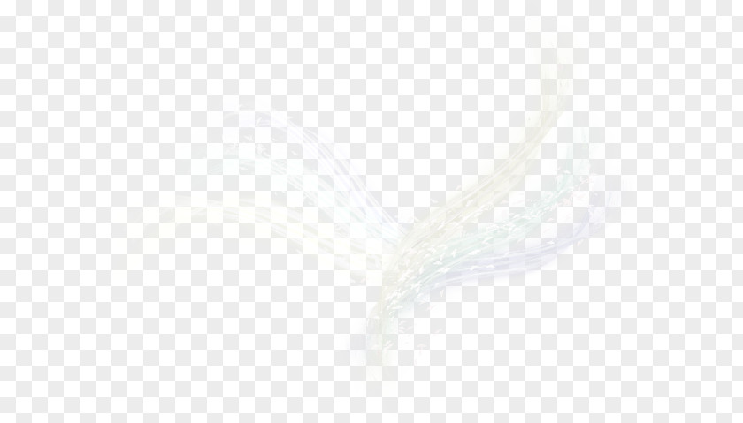 Feather Eyebrow Close-up PNG