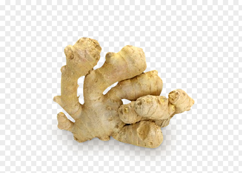 Ginger Oleoresin Turmeric Mumps Extract PNG