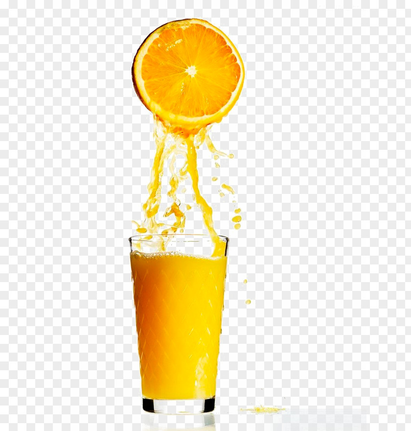 Lemonade Orange Juice Lemon Squeezer Fruit PNG