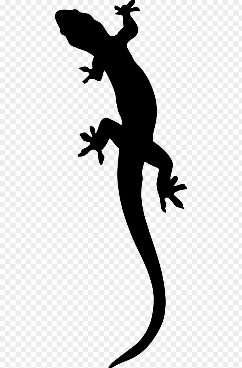 Lizard Gecko Komodo Dragon Clip Art PNG