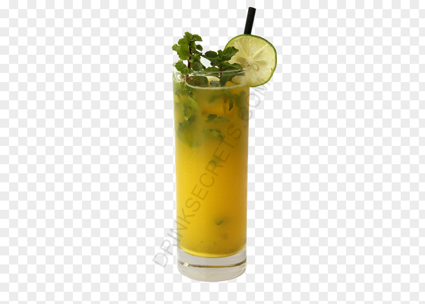 Mojito Cocktail Garnish Lime Sea Breeze Rum And Coke PNG
