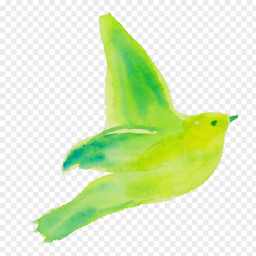Bird Green Beak Wing Animal Figure PNG