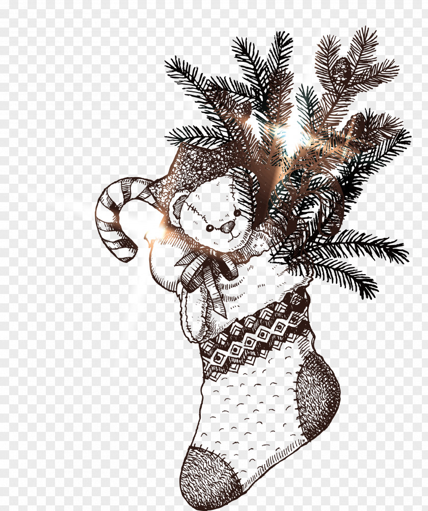 Christmas Sock Drawing Hosiery PNG