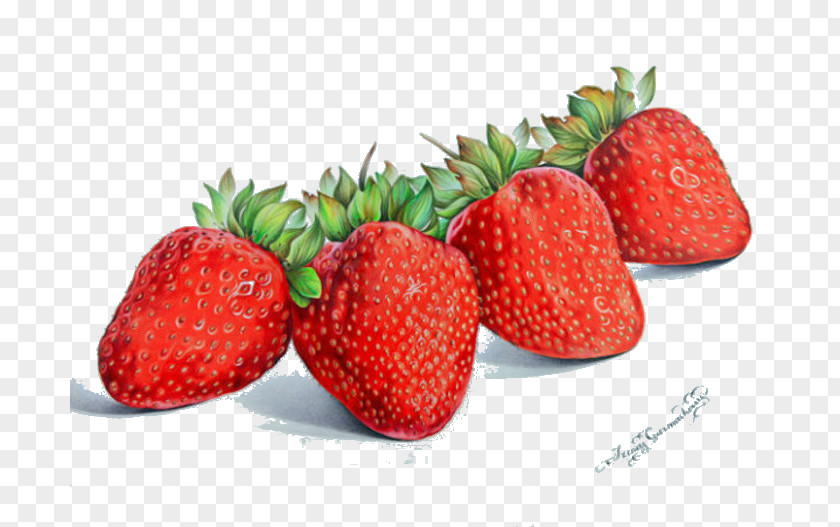 Hand-painted Strawberry Colored Pencil Drawing Still Life Watercolor Painting Aedmaasikas PNG