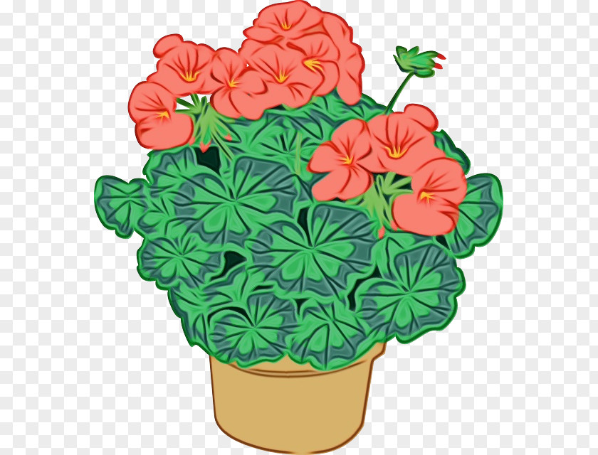 Perennial Plant Petal Pot Leaf Cartoon PNG