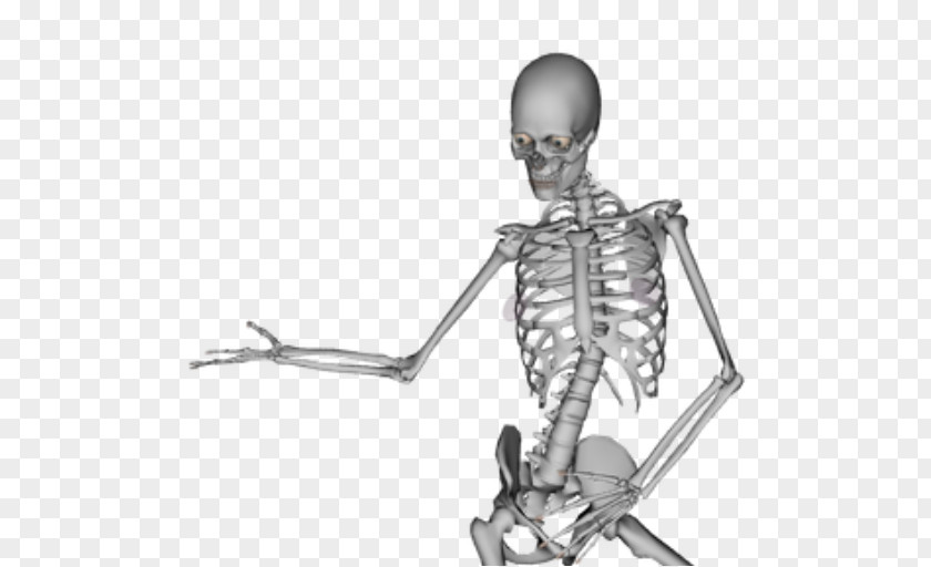 Skeleton Human Skull Dance Bone PNG