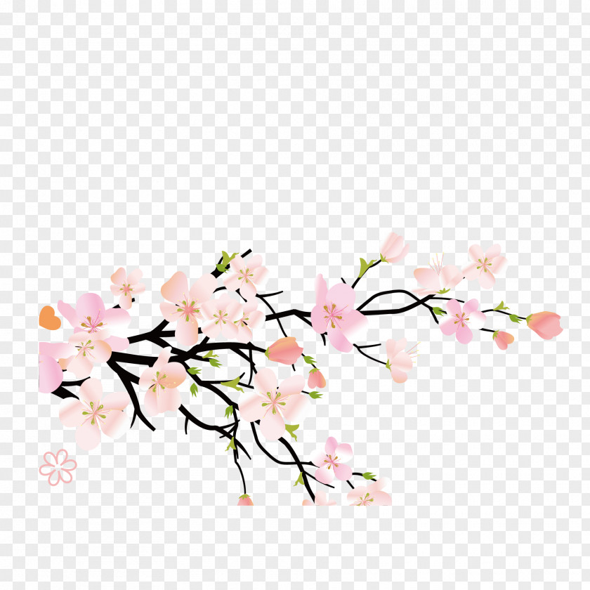 Vector Pink Japanese Cherry Blossoms U0e41u0e1bu0e23u0e23u0e39u0e1bu0e2au0e21u0e38u0e19u0e44u0e1eu0e23u0e1eu0e37u0e49u0e19u0e1au0e49u0e32u0e19u0e19u0e32u0e42u0e1eu0e18u0e34u0e4c Plum Blossom Peach Herb Fruit PNG