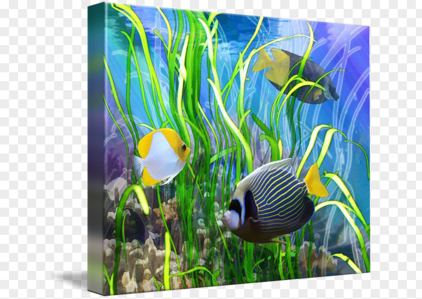 Fish Coral Reef Ecosystem Aquarium Marine Biology PNG