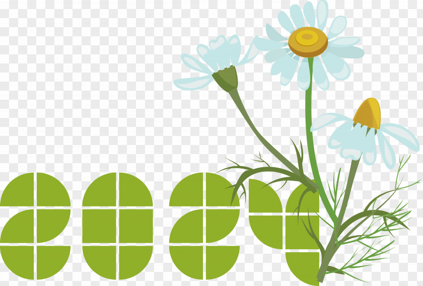 Floral Design PNG