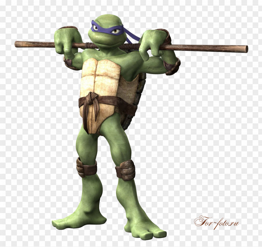 Ninja Turtles Donatello Raphael Leonardo April O'Neil Michelangelo PNG