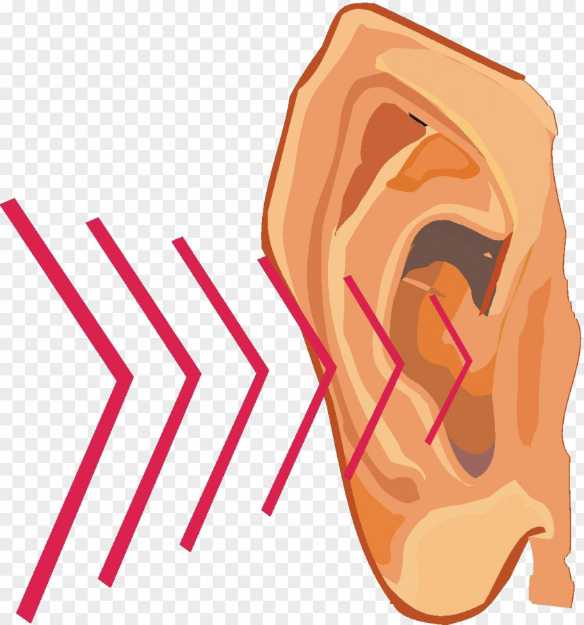 Cliparts Hearing Sound Vibration Clip Art PNG