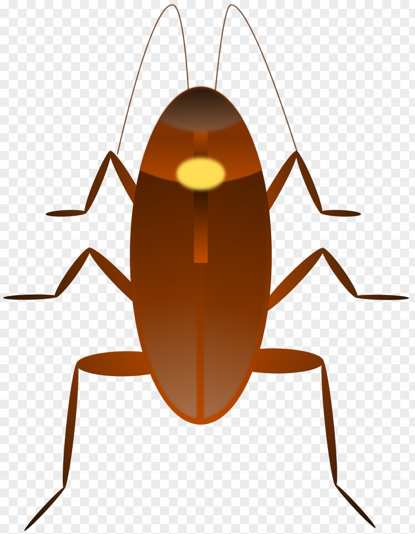 Cockroach Cliparts Free Content Clip Art PNG