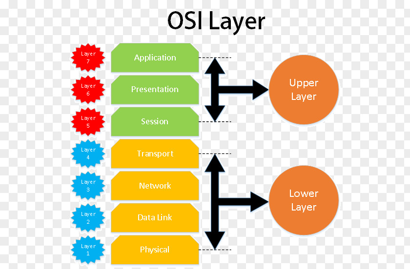 Motor Neuron Nissl Bodies OSI Model Presentation Layer Open Systems Interconnection Computer Network Reference PNG